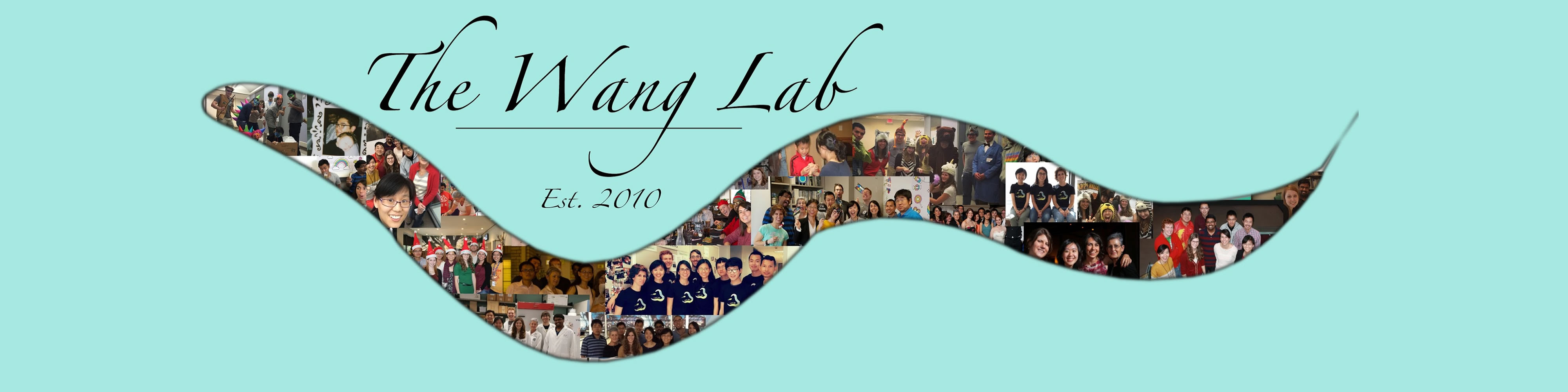 Meng Wang lab at Baylor College of Medicine